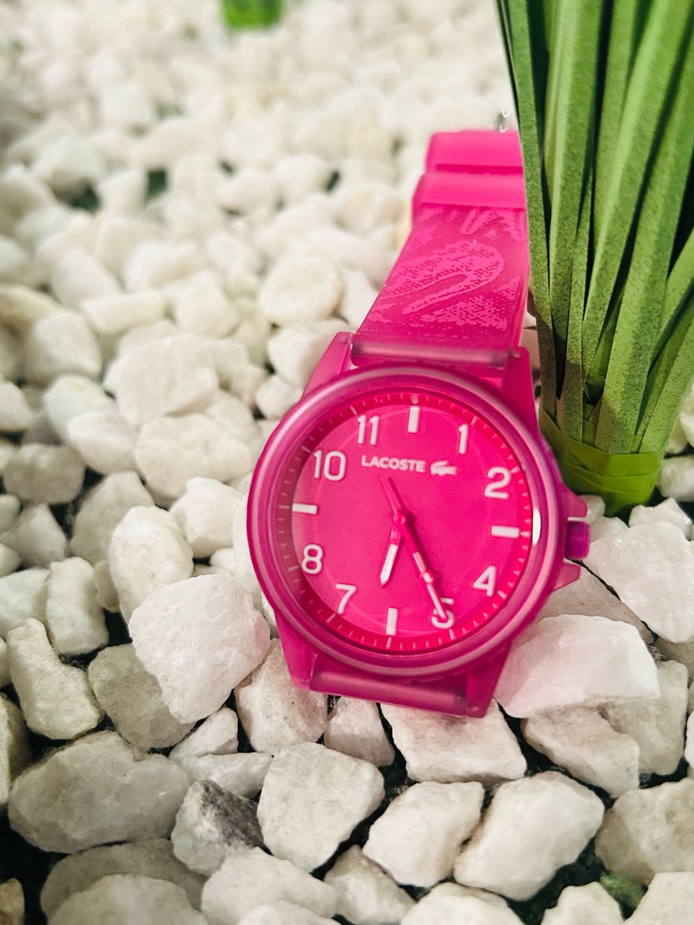 Lacoste kids pink watch with alligator logo
